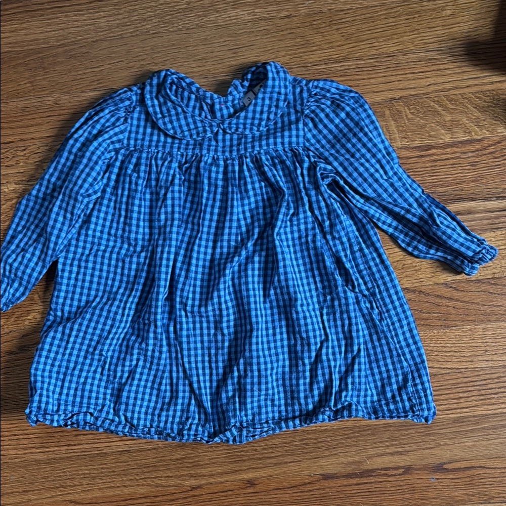 Peter Pan collar blue gingham dress